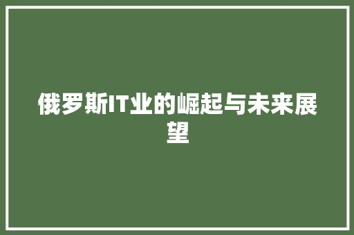 俄罗斯IT业的崛起与未来展望