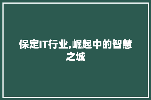 保定IT行业,崛起中的智慧之城