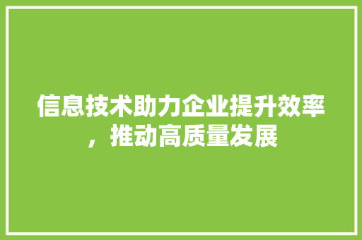 信息技术助力企业提升效率，推动高质量发展