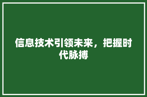 信息技术引领未来，把握时代脉搏