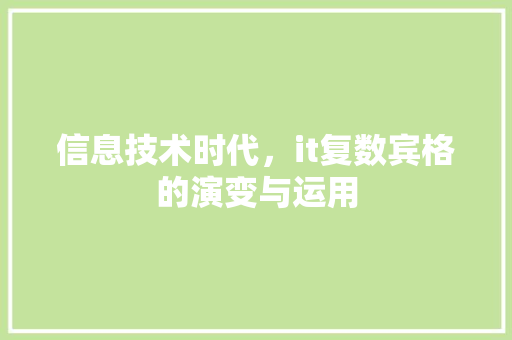 信息技术时代，it复数宾格的演变与运用