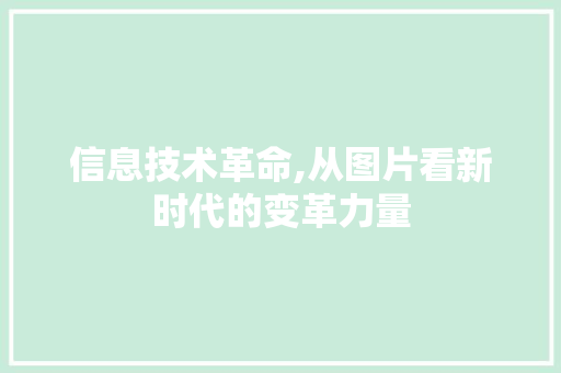 信息技术革命,从图片看新时代的变革力量