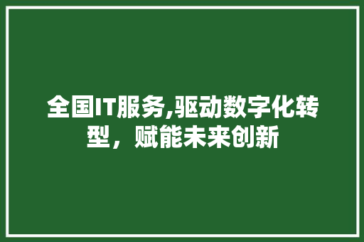 全国IT服务,驱动数字化转型，赋能未来创新