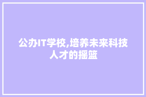 公办IT学校,培养未来科技人才的摇篮