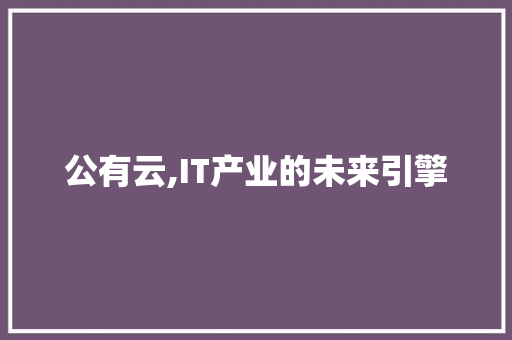 公有云,IT产业的未来引擎