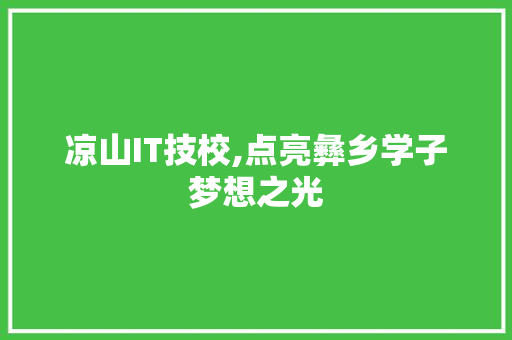 凉山IT技校,点亮彝乡学子梦想之光