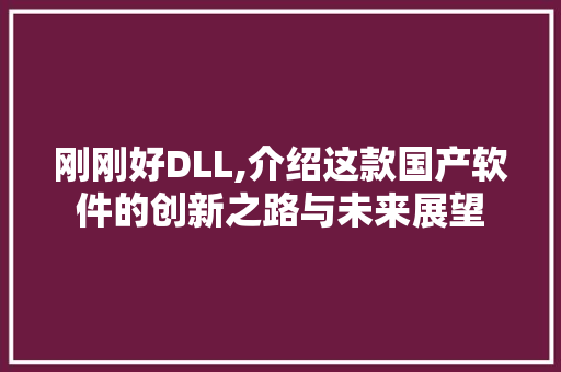 刚刚好DLL,介绍这款国产软件的创新之路与未来展望