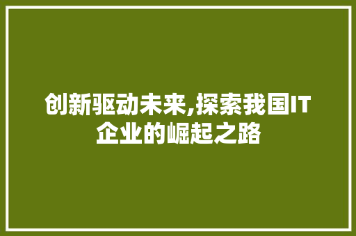 创新驱动未来,探索我国IT企业的崛起之路