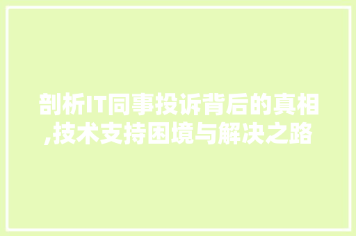 剖析IT同事投诉背后的真相,技术支持困境与解决之路