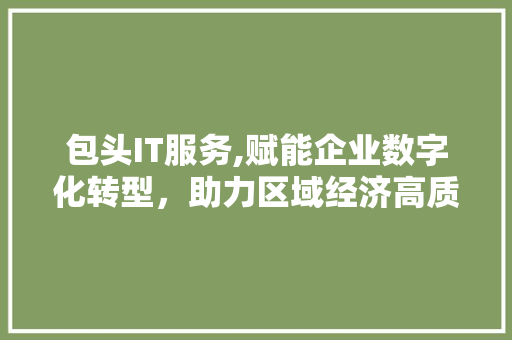 包头IT服务,赋能企业数字化转型，助力区域经济高质量发展