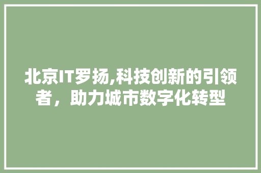 北京IT罗扬,科技创新的引领者，助力城市数字化转型