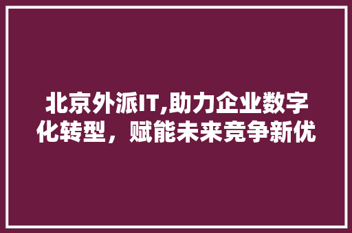 北京外派IT,助力企业数字化转型，赋能未来竞争新优势