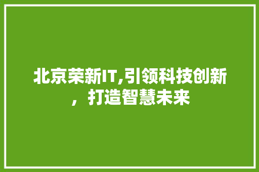 北京荣新IT,引领科技创新，打造智慧未来