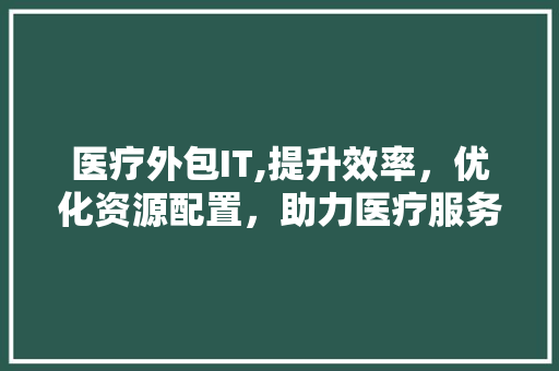 医疗外包IT,提升效率，优化资源配置，助力医疗服务升级