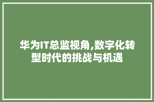 华为IT总监视角,数字化转型时代的挑战与机遇