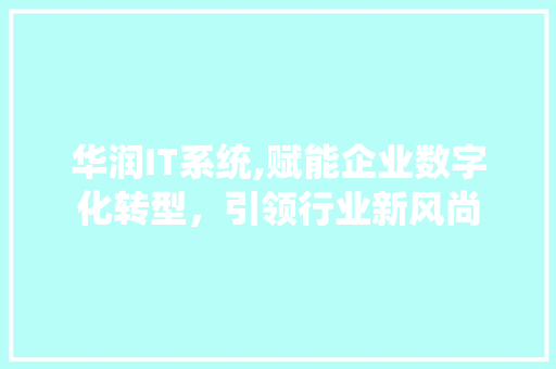 华润IT系统,赋能企业数字化转型，引领行业新风尚