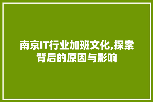 南京IT行业加班文化,探索背后的原因与影响