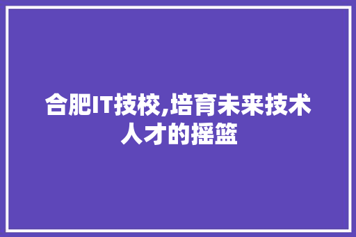 合肥IT技校,培育未来技术人才的摇篮