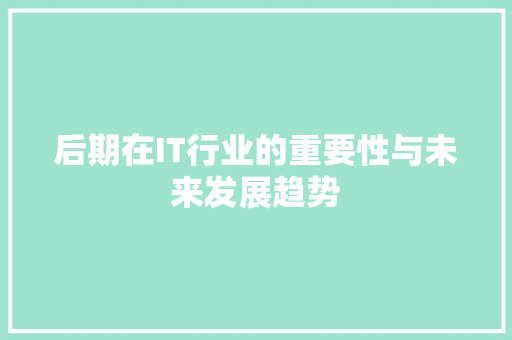 后期在IT行业的重要性与未来发展趋势