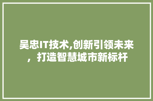 吴忠IT技术,创新引领未来，打造智慧城市新标杆