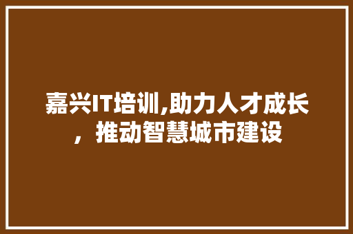 嘉兴IT培训,助力人才成长，推动智慧城市建设