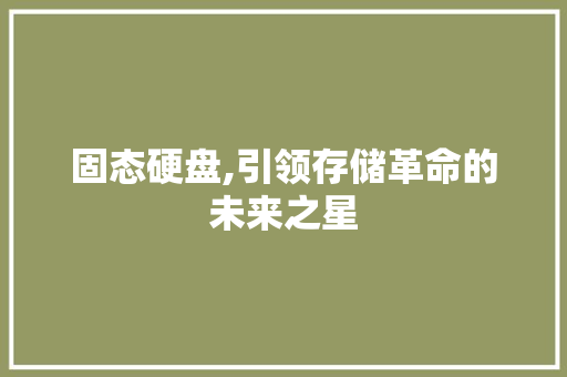 固态硬盘,引领存储革命的未来之星