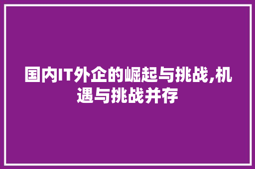 国内IT外企的崛起与挑战,机遇与挑战并存