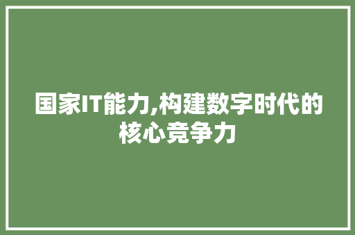 国家IT能力,构建数字时代的核心竞争力