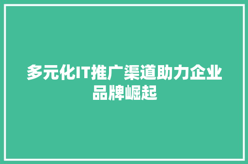 多元化IT推广渠道助力企业品牌崛起