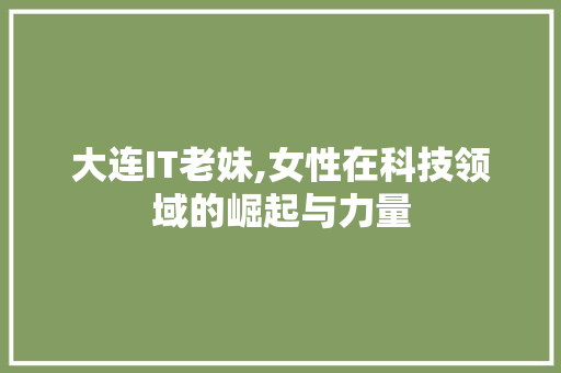 大连IT老妹,女性在科技领域的崛起与力量