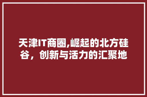 天津IT商圈,崛起的北方硅谷，创新与活力的汇聚地