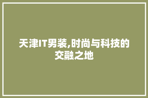 天津IT男装,时尚与科技的交融之地