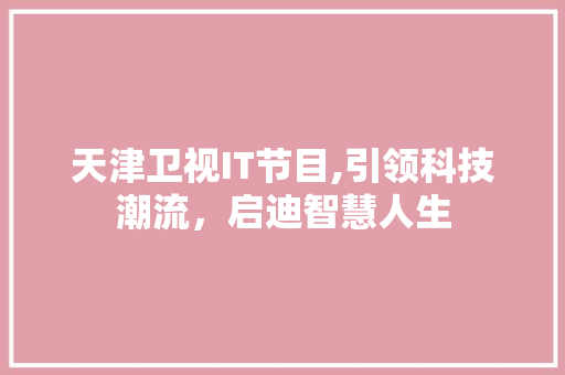 天津卫视IT节目,引领科技潮流，启迪智慧人生