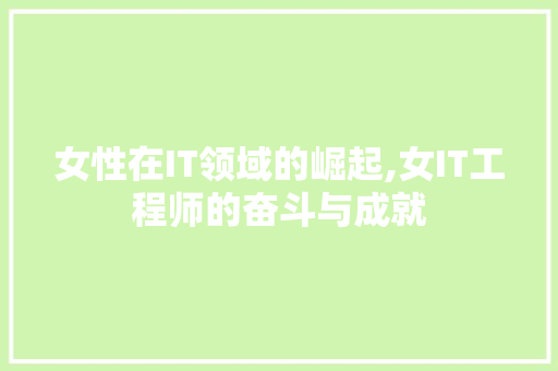 女性在IT领域的崛起,女IT工程师的奋斗与成就