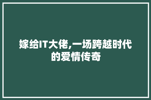 嫁给IT大佬,一场跨越时代的爱情传奇