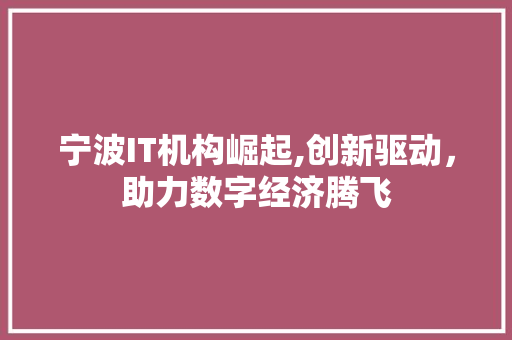 宁波IT机构崛起,创新驱动，助力数字经济腾飞