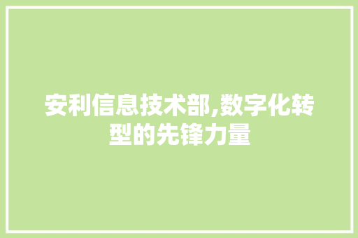 安利信息技术部,数字化转型的先锋力量