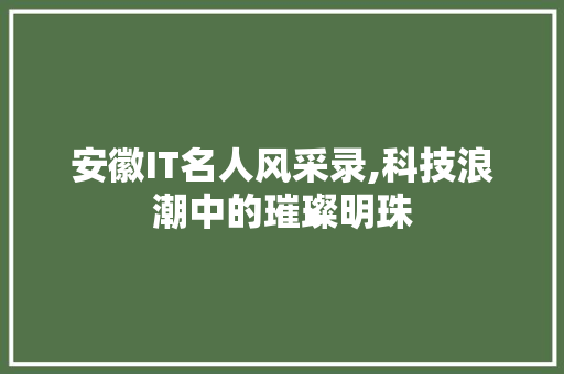 安徽IT名人风采录,科技浪潮中的璀璨明珠