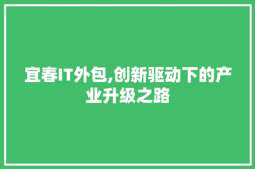 宜春IT外包,创新驱动下的产业升级之路