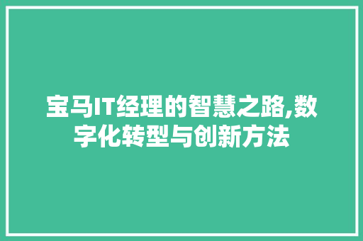 宝马IT经理的智慧之路,数字化转型与创新方法