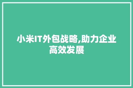 小米IT外包战略,助力企业高效发展