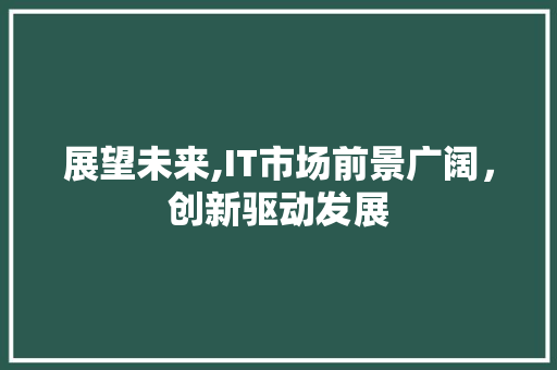 展望未来,IT市场前景广阔，创新驱动发展