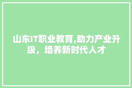 山东IT职业教育,助力产业升级，培养新时代人才