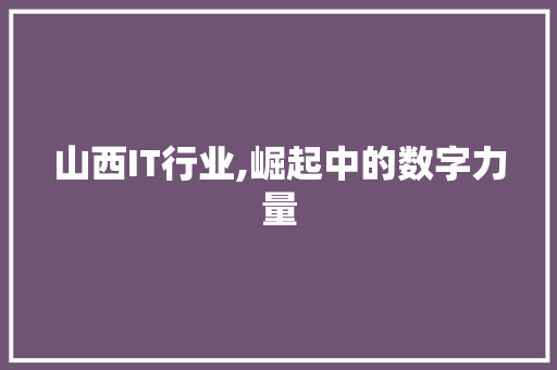 山西IT行业,崛起中的数字力量