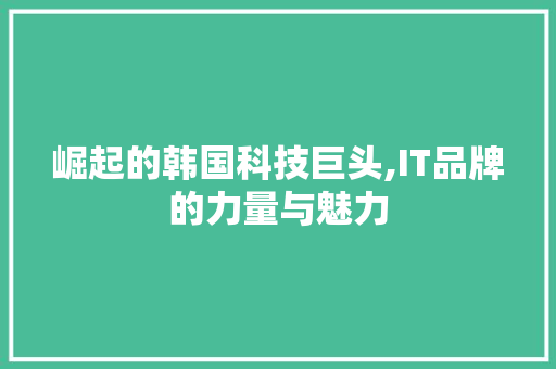 崛起的韩国科技巨头,IT品牌的力量与魅力