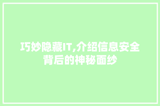 巧妙隐藏IT,介绍信息安全背后的神秘面纱