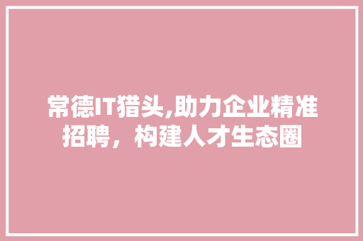 常德IT猎头,助力企业精准招聘，构建人才生态圈