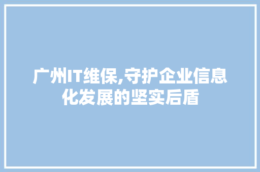 广州IT维保,守护企业信息化发展的坚实后盾