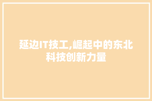 延边IT技工,崛起中的东北科技创新力量