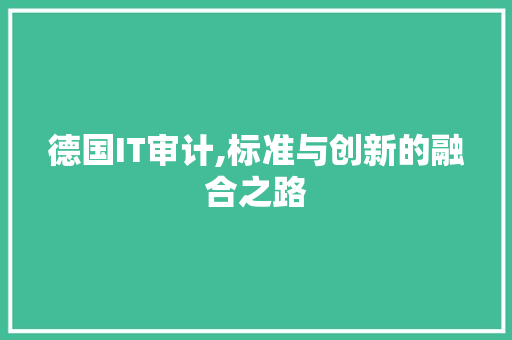 德国IT审计,标准与创新的融合之路